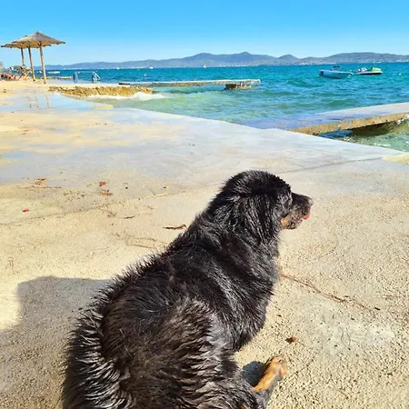 Apartment Silente Bibinje