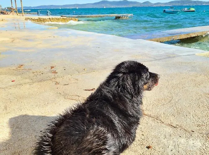 Lejlighed Silente Bibinje